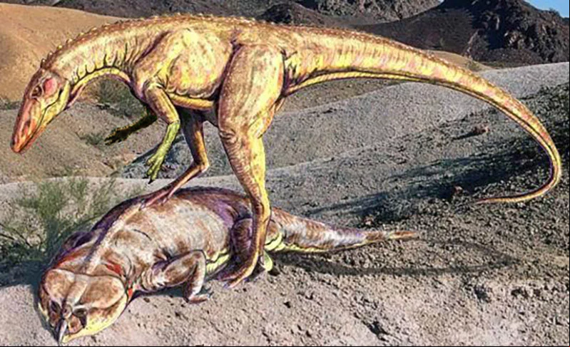 A discussão sobre o berço dos dinossauros se deu a partir da descoberta do fóssil do Estauricossauro (na ilustração, dominando a presa), em 1936, em Santa Maria, um dos mais primitivos da espécie. O exemplar encontrado era de 230 milhões de anos.