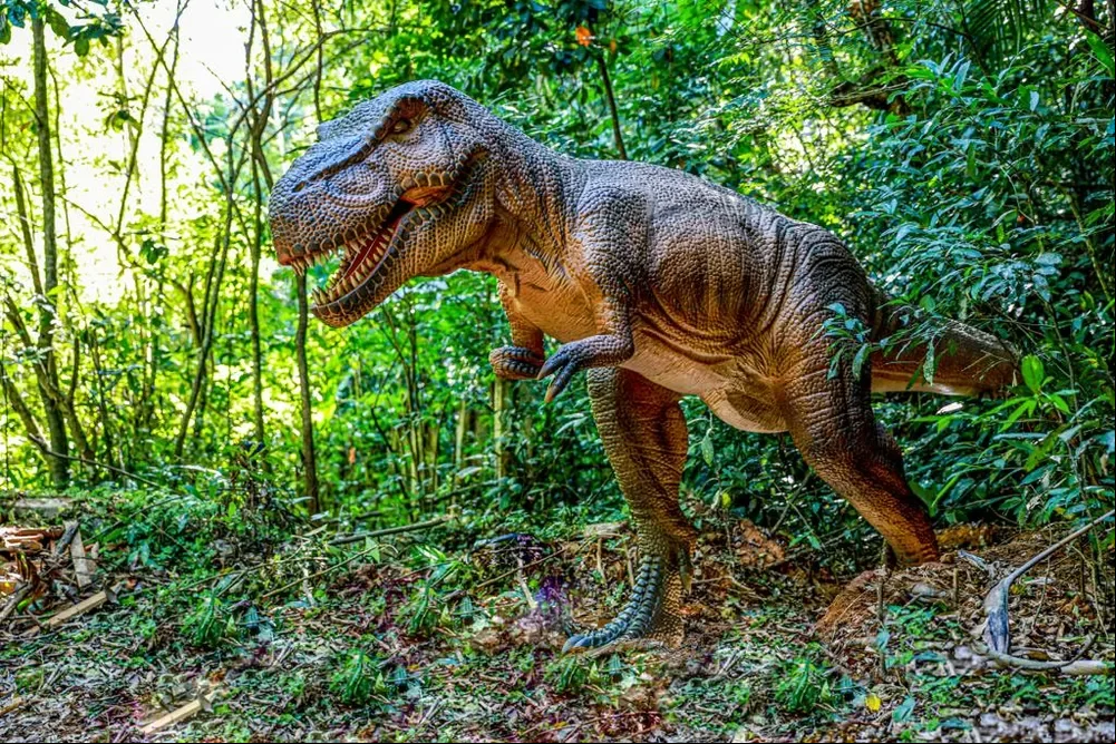 Enquanto isso, no Brasil, o Serviço Geológico Brasileiro (SGB) informou que uma nova espécie de dinossauro teve suas pegadas detectadas em Araraquara, interior de São Paulo. O animal “Farlowichnus rapidus” foi encontrado pelo padre e paleontólogo italiano Giuseppe Leonardi nos anos 1980.