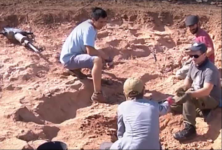 O mesmo ocorre em outras áreas de grande valor para a Paleontologia e que atraem a curiosidade de visitantes, como o Parque dos Girassóis, em Presidente Prudente (SP).